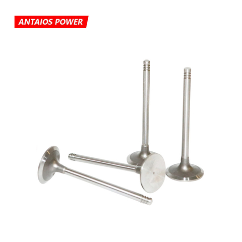 Exhaust Valve 02232717